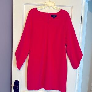 Fushia shift dress with v-neck and longer sleeves.
